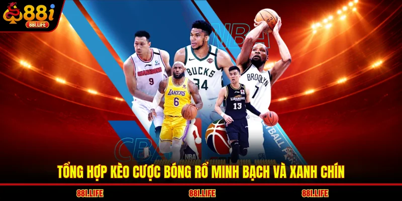Tổng hợp kèo cược bóng rổ minh bạch và xanh chín